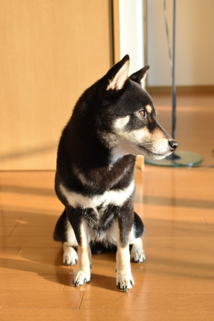 f0363156_17430030.jpg