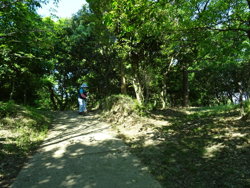 c0108460_21003166.jpg