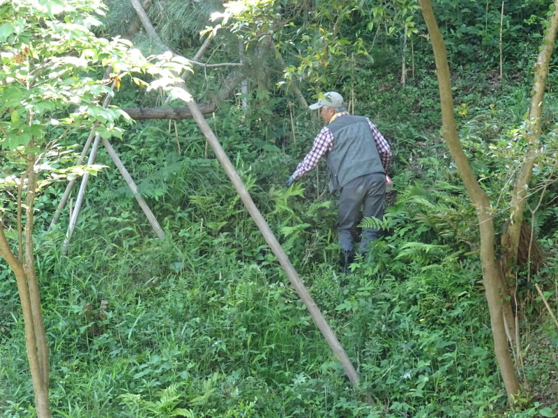 c0108460_21005713.jpg