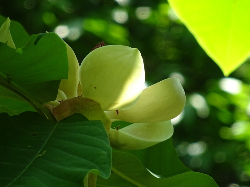 c0108460_21022871.jpg