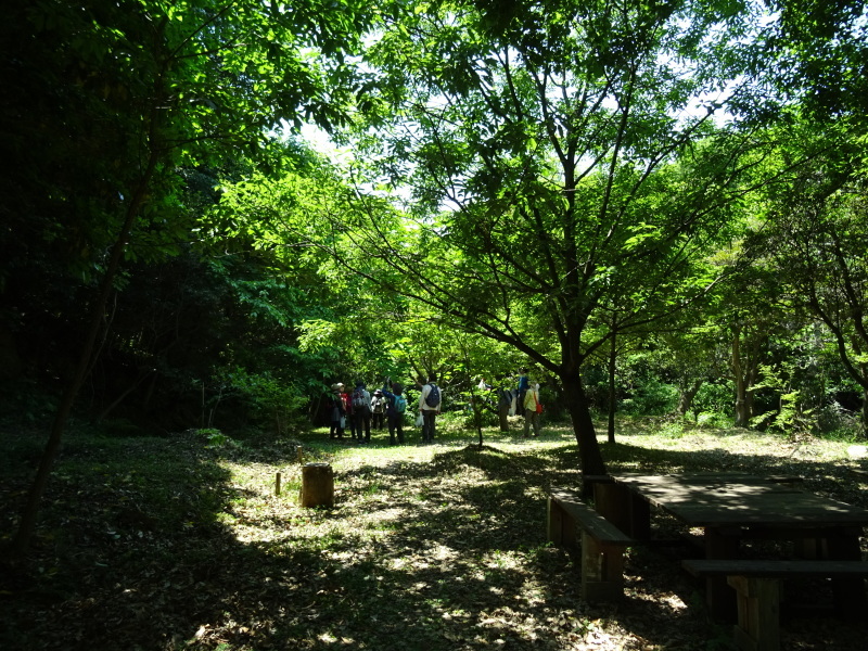 c0108460_21031290.jpg