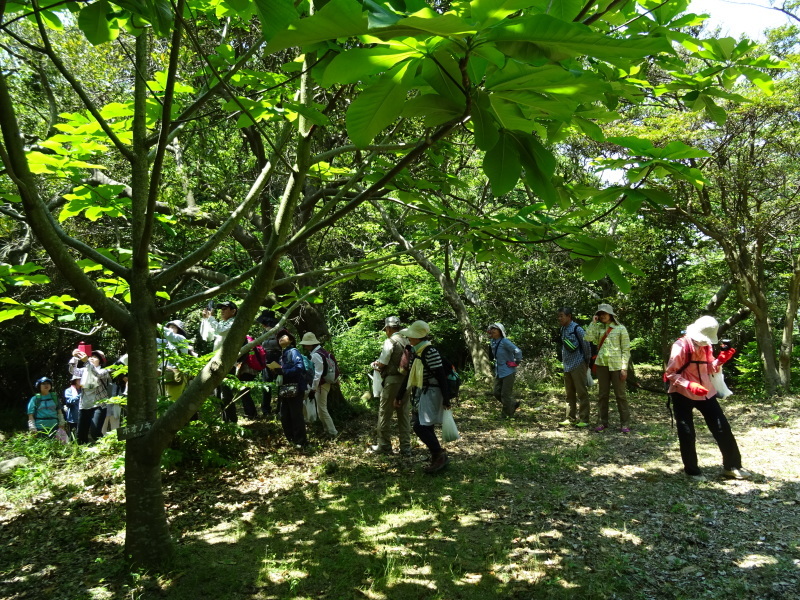 c0108460_21031629.jpg