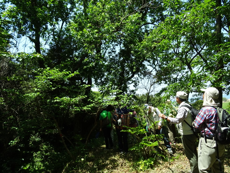 c0108460_21041710.jpg