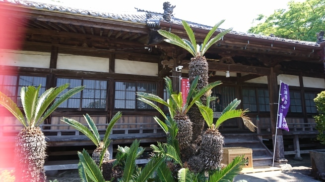 e0006772_21242409.jpg