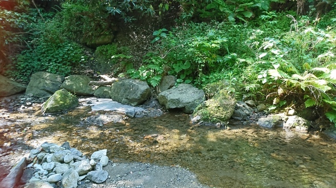 e0006772_21293637.jpg