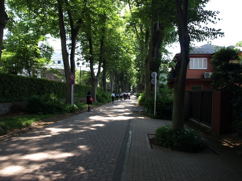 Tokyo Travel Guide Kichijoji Sightseeing 100 -003 Zelkova Tree-Lined Street Seikei University_e0122680_16075736.jpg