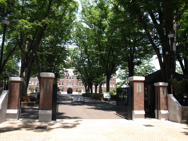 Tokyo Travel Guide Kichijoji Sightseeing 100 -003 Zelkova Tree-Lined Street Seikei University_e0122680_16085728.jpg