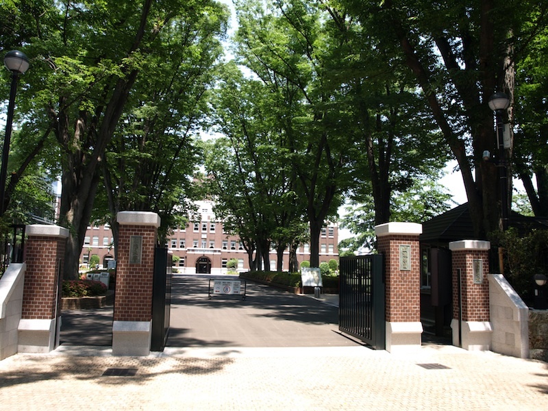 Tokyo Travel Guide Kichijoji Sightseeing 100 -003 Zelkova Tree-Lined Street  Seikei University_e0122680_16085728.jpg