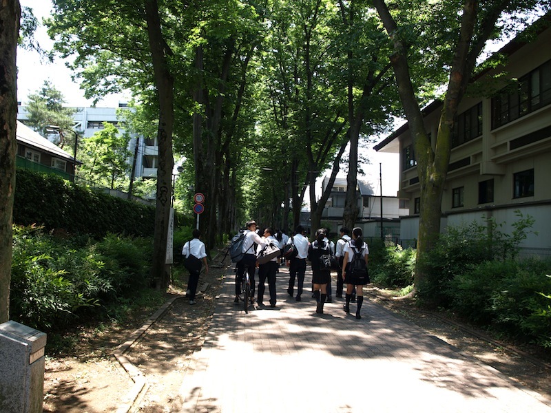 Tokyo Travel Guide Kichijoji Sightseeing 100 -003 Zelkova Tree-Lined Street  Seikei University_e0122680_16100685.jpg