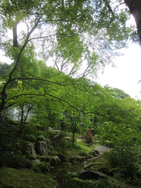 社寺建築巡り：「宝満宮 竈門神社」_f0202785_22320515.jpg