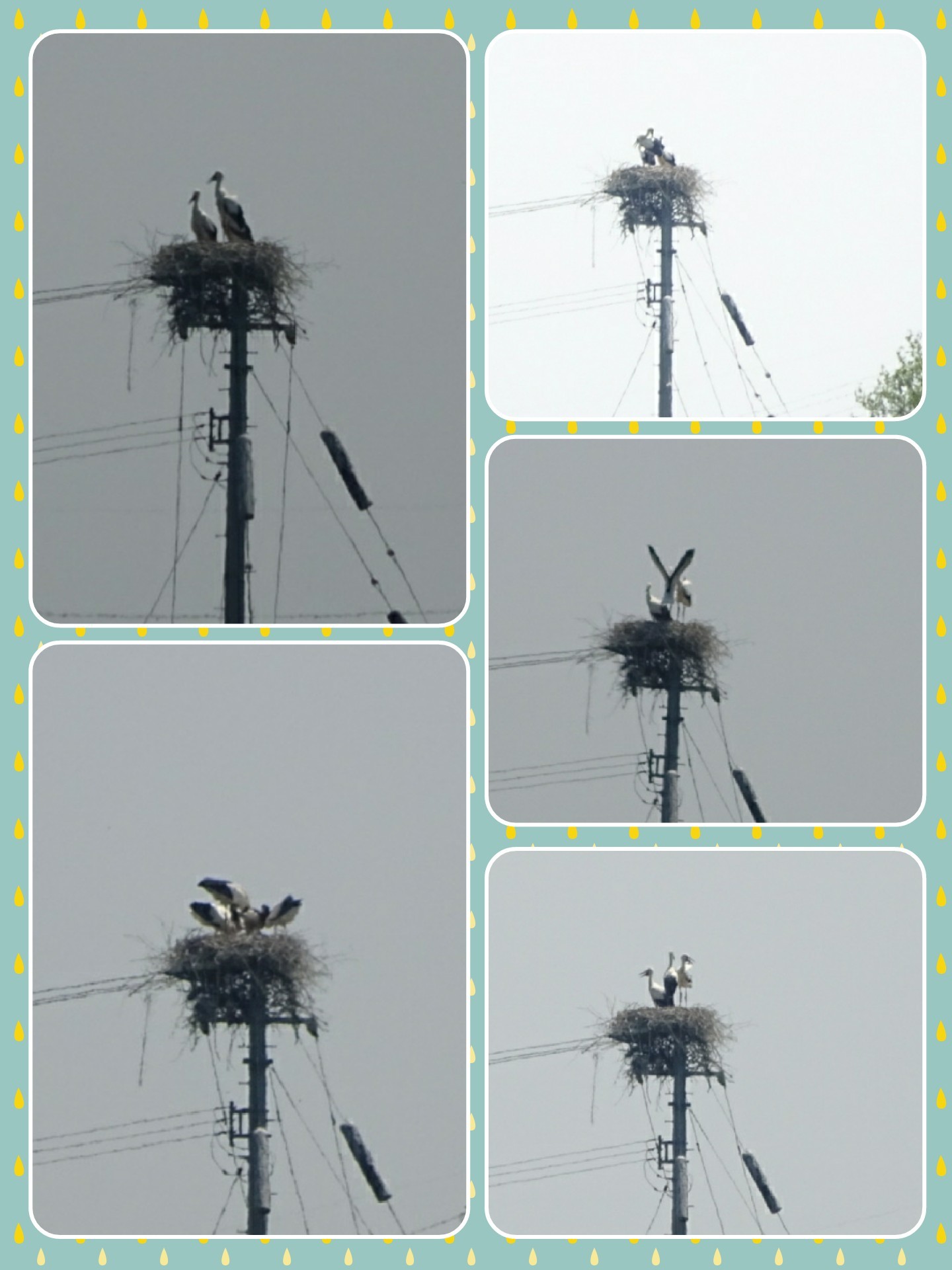 f0140087_19561026.jpg