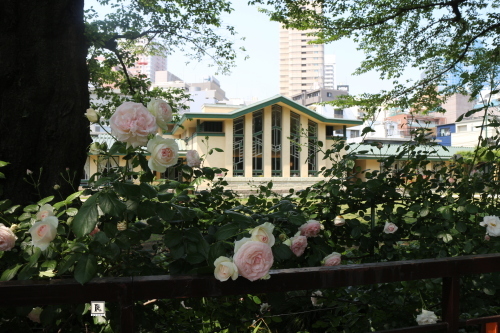 c0128489_22471495.jpg