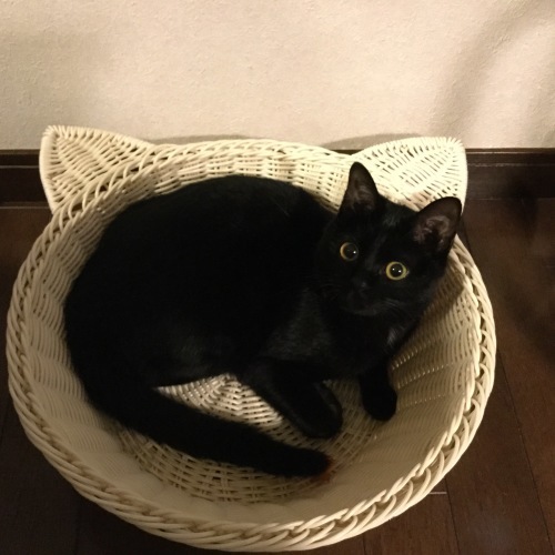新しいお家_e0358096_19351392.jpg