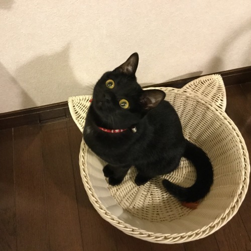新しいお家_e0358096_19354112.jpg