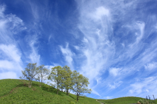 阿蘇・久住ぶらり～（２）。_c0368903_16335680.jpg