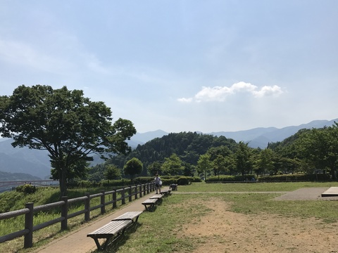 緑が目にしみる！初夏の宮ヶ瀬。_c0212604_136246.jpg