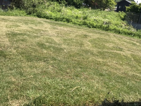 c0212604_137272.jpg