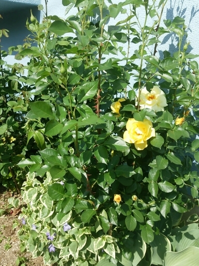 f0255704_22332597.jpg
