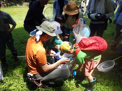 もりもり初夏の生き物観察　少し登山_b0126307_15072054.jpg