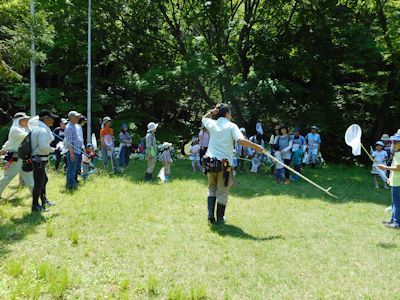 もりもり初夏の生き物観察　少し登山_b0126307_15072102.jpg