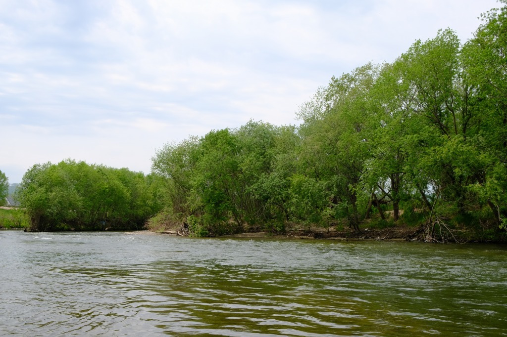 d0051707_19340329.jpg