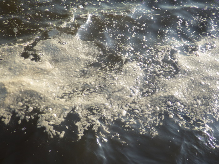 c0022113_87619.jpg