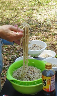 2017年5月20日(土)草刈り・山菜採り 北山山林(千歳市)_c0173813_19103266.jpg