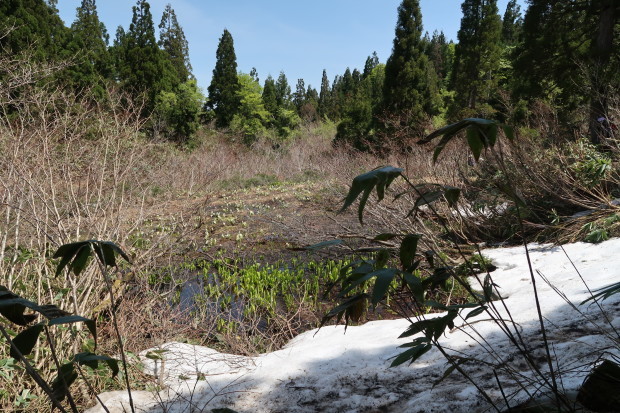 d0103314_20422775.jpg