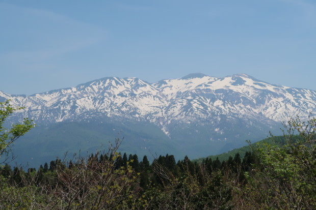 d0103314_20425692.jpg