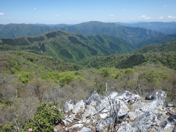 f0193521_56121.jpg