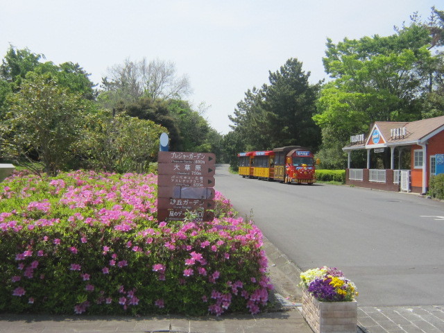 ♪海と砂丘の広大な世界★ひたち海浜公園②_d0162225_22352250.jpg