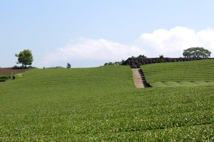f0348831_17534774.jpg