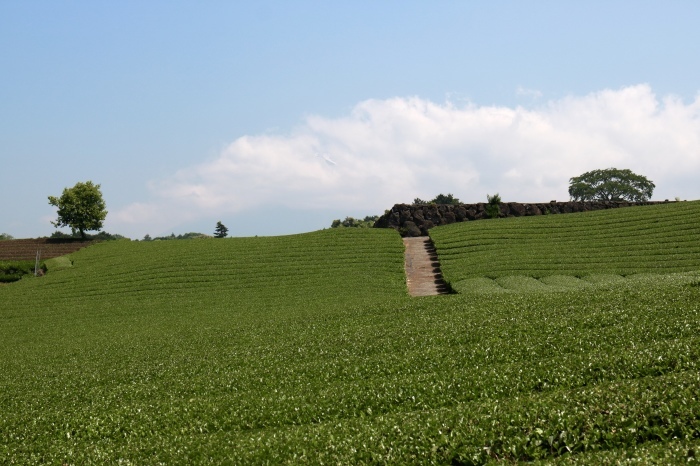 f0348831_17540017.jpg