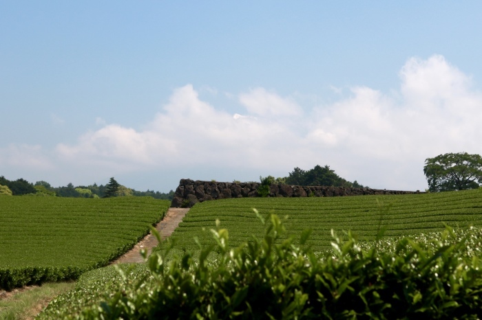f0348831_17540442.jpg
