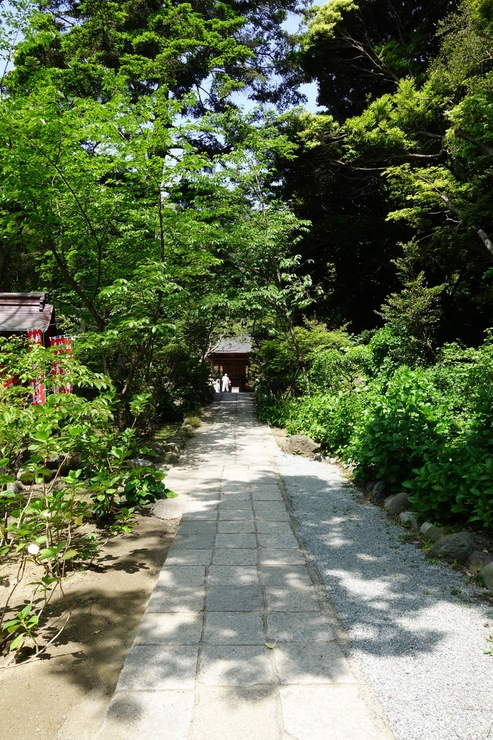 鎌倉を全力でぶらぶら 2017 その6～葛原岡神社_a0287336_21122127.jpg