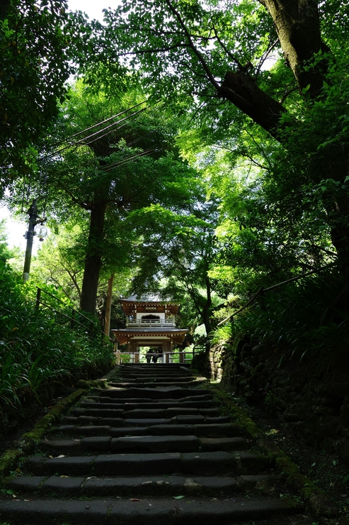 鎌倉を全力でぶらぶら 2017 その6～葛原岡神社_a0287336_21291757.jpg