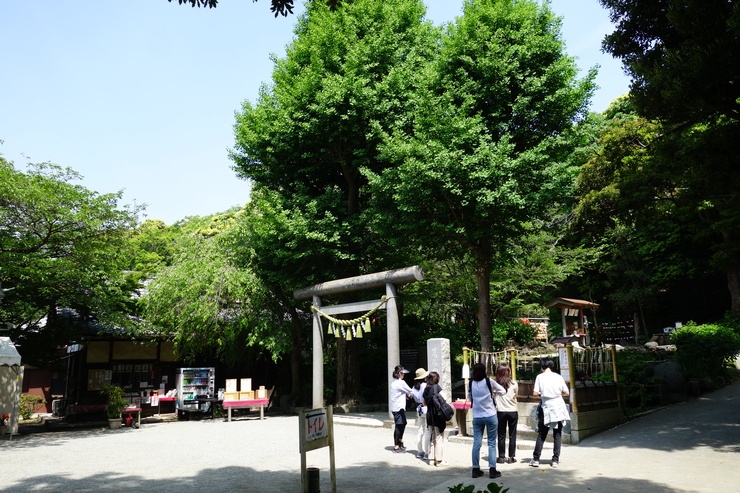 鎌倉を全力でぶらぶら 2017 その6～葛原岡神社_a0287336_2172758.jpg