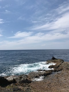 2017年GW　小笠原諸島母島　遠征釣行（ルアー釣り）_c0108336_23324370.jpg