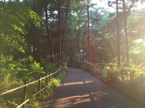 5月の夕暮れ…谷戸山公園_b0330040_00254315.jpg