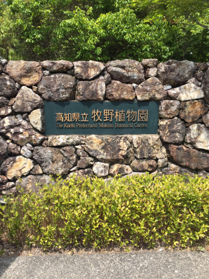 d0191844_19440559.jpg