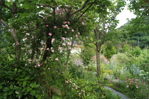 e0181373_21503744.jpg