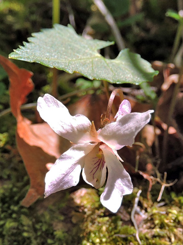 f0083977_16121447.jpg