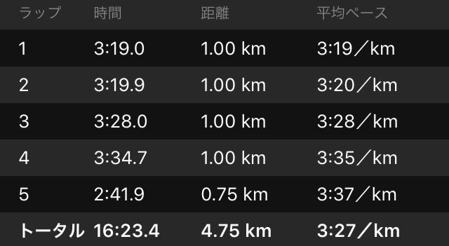 昨日の駅伝は失速系_f0310282_14063788.png