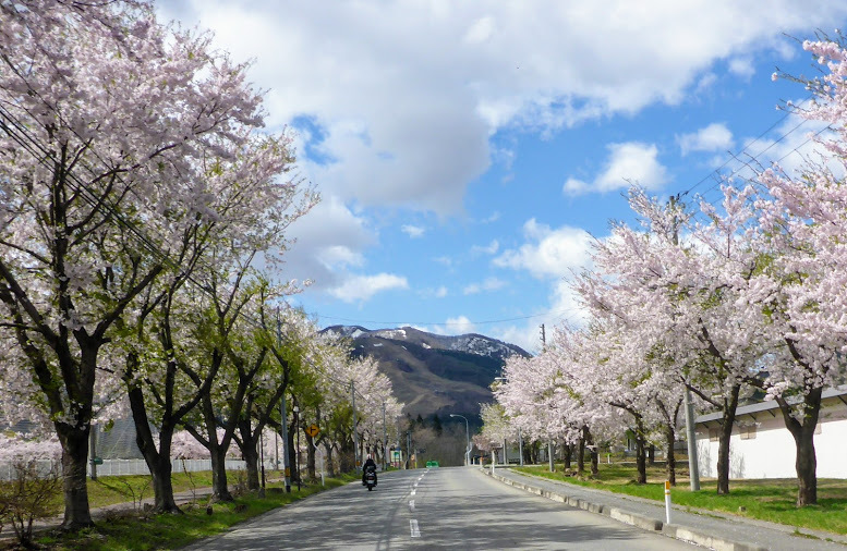 旧車で巡る「奥の細道」_b0238789_16512973.jpg