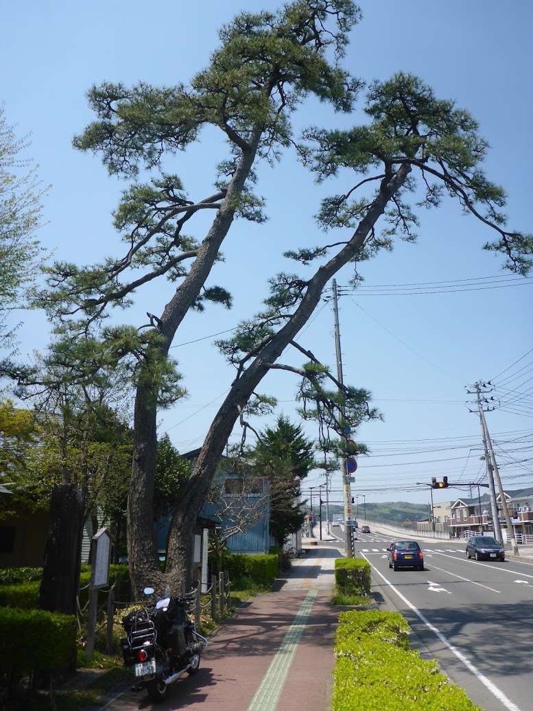 旧車で巡る「奥の細道」_b0238789_17410687.jpg