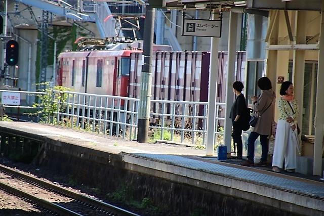 d0181492_13515559.jpg