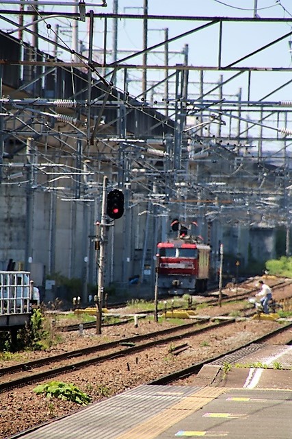 d0181492_13584161.jpg