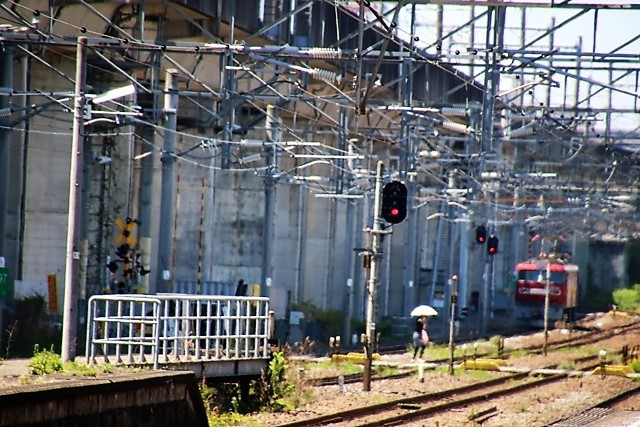 d0181492_13593009.jpg