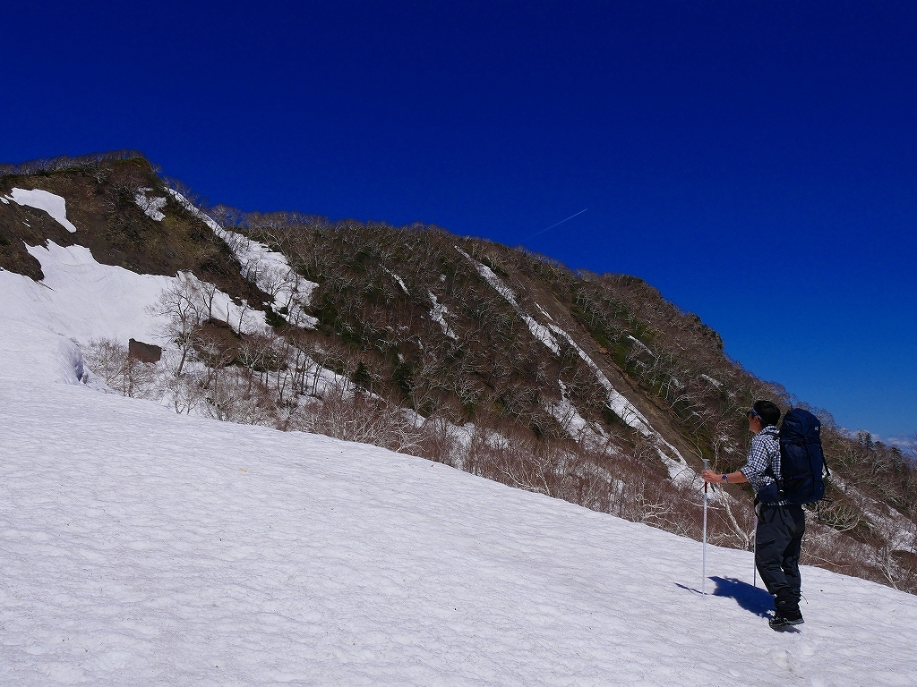  槙柏山、2017.5.18－その2－_f0138096_14170191.jpg