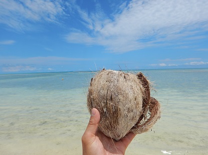 流れよる椰子の実ひとつ_e0077899_8165461.jpg